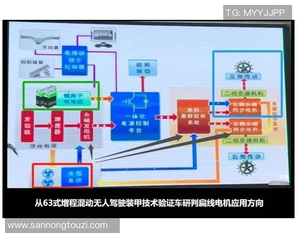 武汉羽毛球队节奏打法深度解析与战术优势探讨